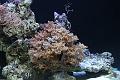 3-D_20140126 -183344 _IMG_9867
